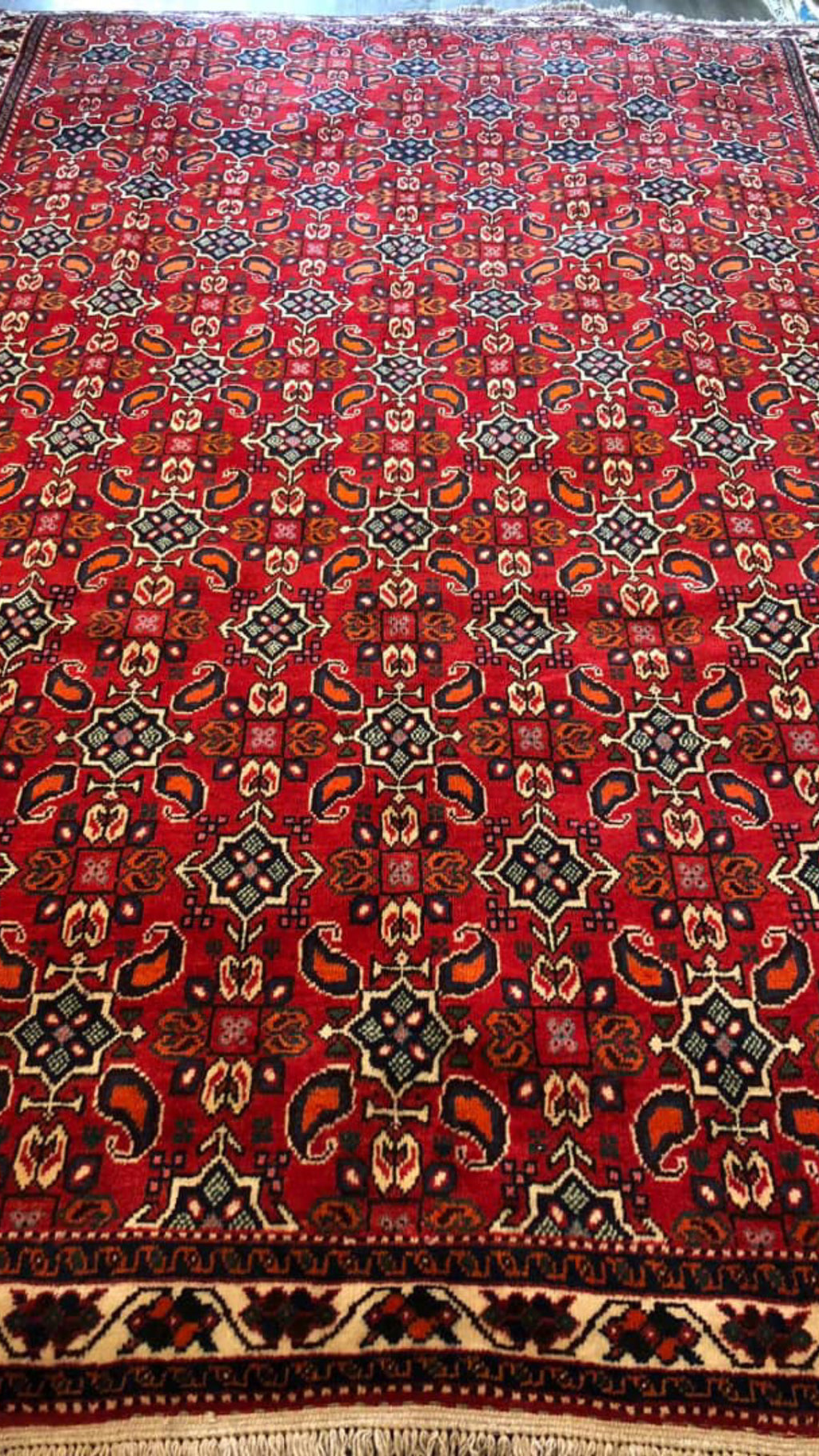 Authentic Qashqai Handmade Rug – Wool Pile, Natural Vegetable Dye, Handwoven Warp & Weft